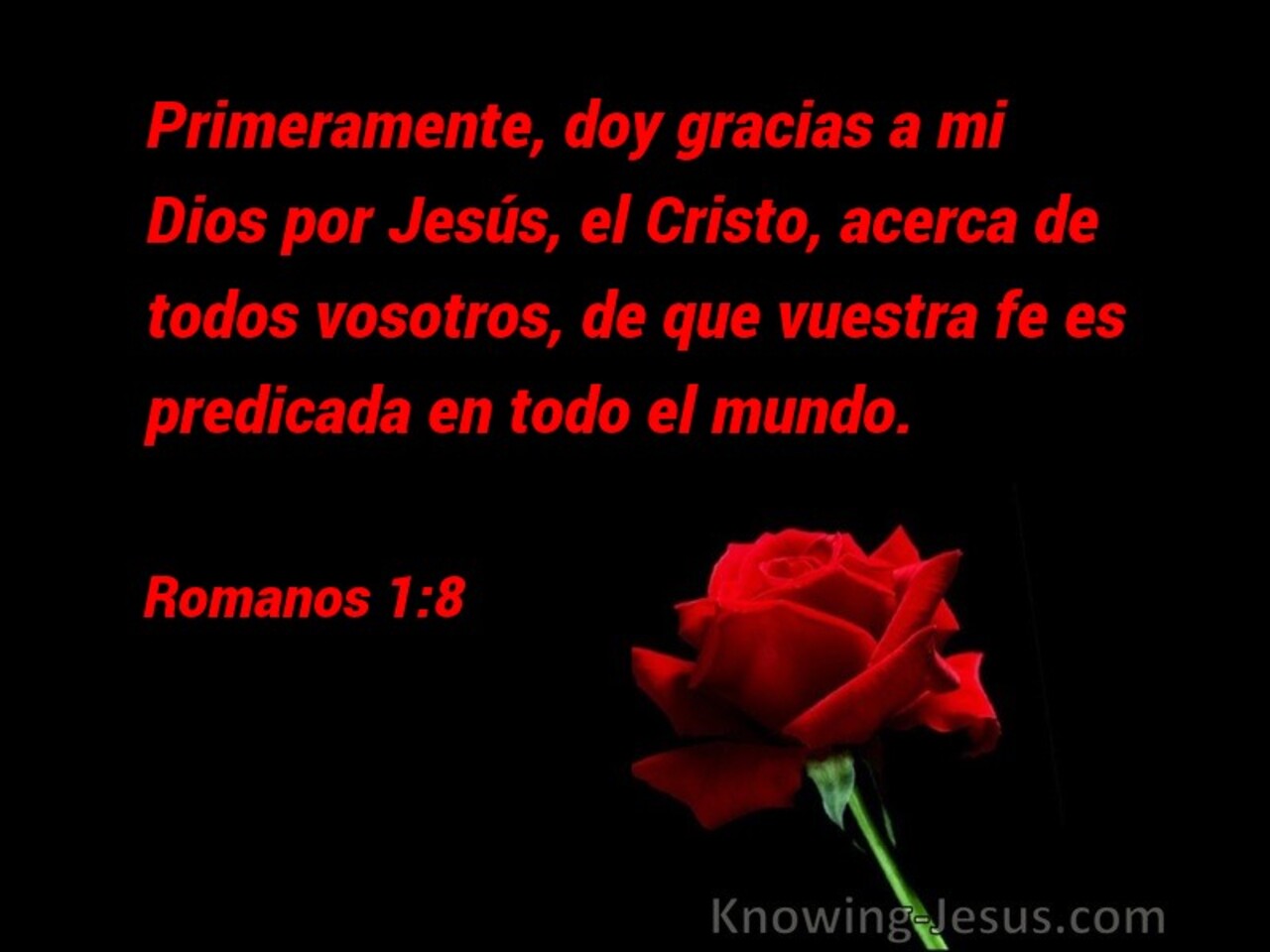 Romanos 1:8 (negro)